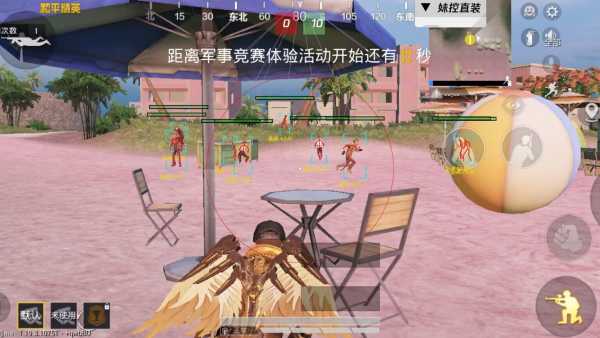 和平精英【初夏内核】辅助